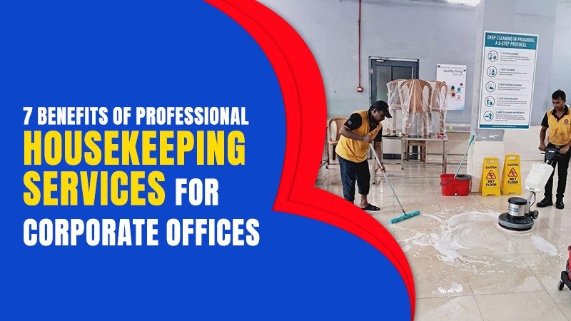 Professional Housekeeping Services